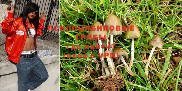 винт Елабуга
