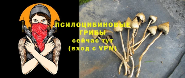 2c-b Елизово