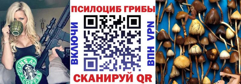 Галлюциногенные грибы Psilocybine cubensis  Сорочинск 