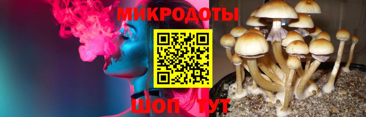 Галлюциногенные грибы мухоморы  Галлюциногенные грибы MAGIC MUSHROOMS  Вход с VPN  Сорочинск 