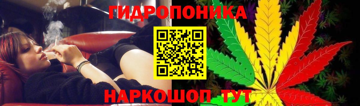 Сорочинск  Марихуана OG Kush  Вход с VPN  Каннабис гибрид 